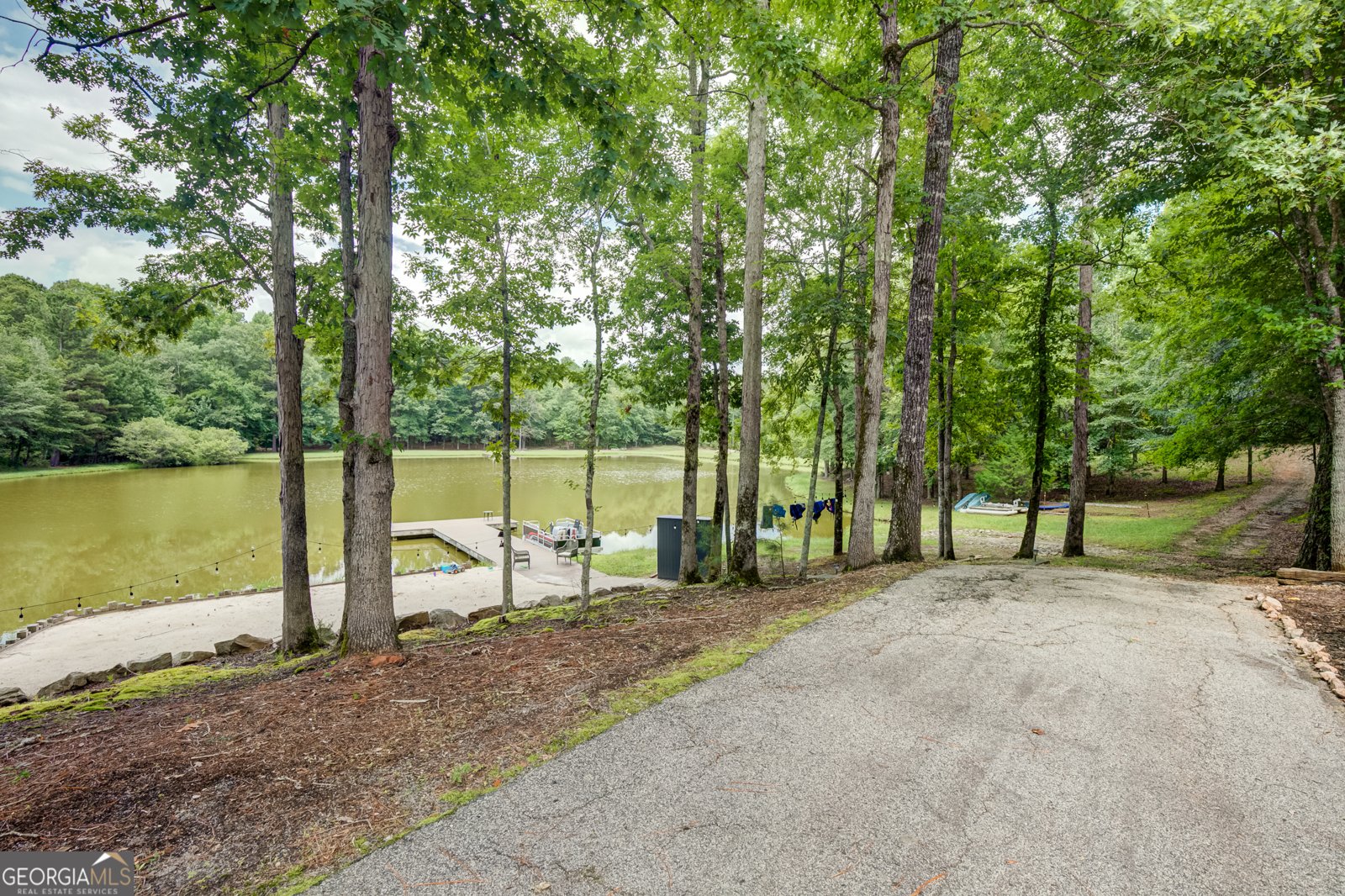 710 Line Creek Road Senoia - Photo 85