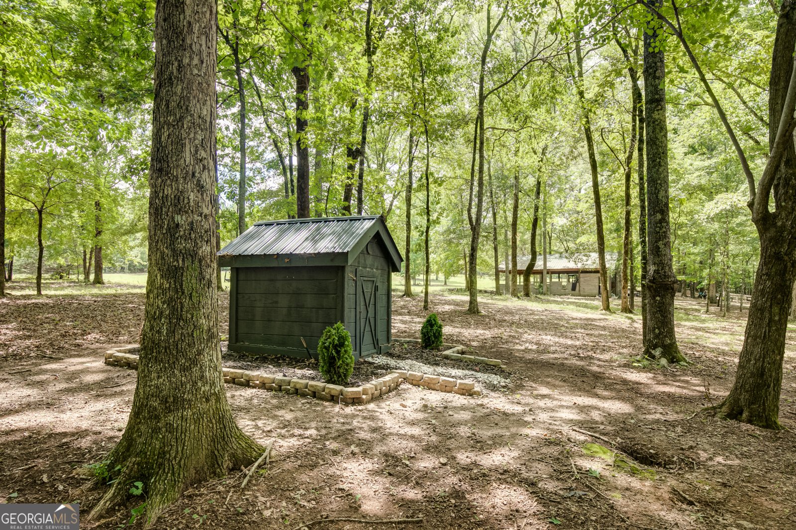 710 Line Creek Road Senoia - Photo 88