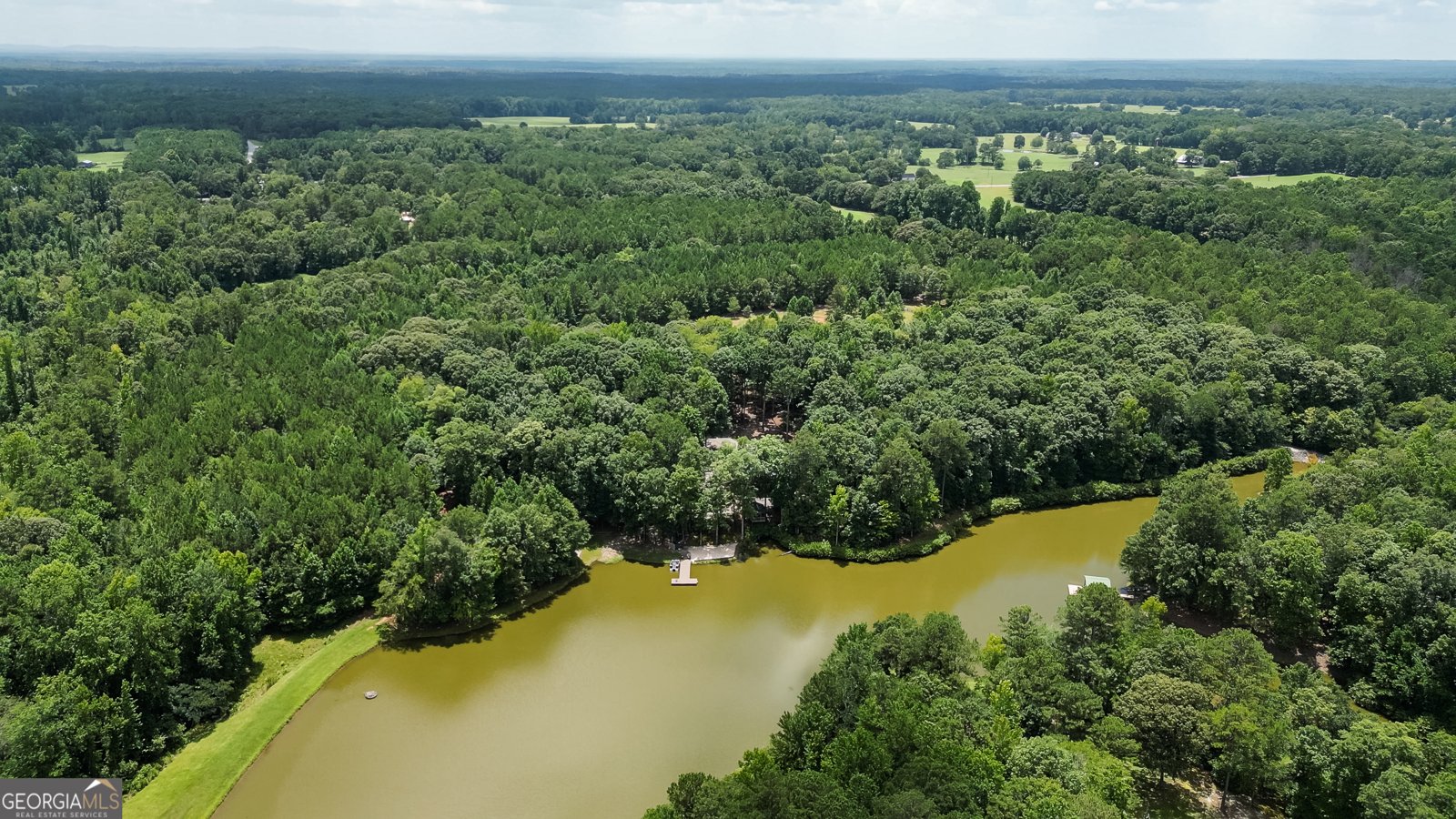 710 Line Creek Road Senoia - Photo 89