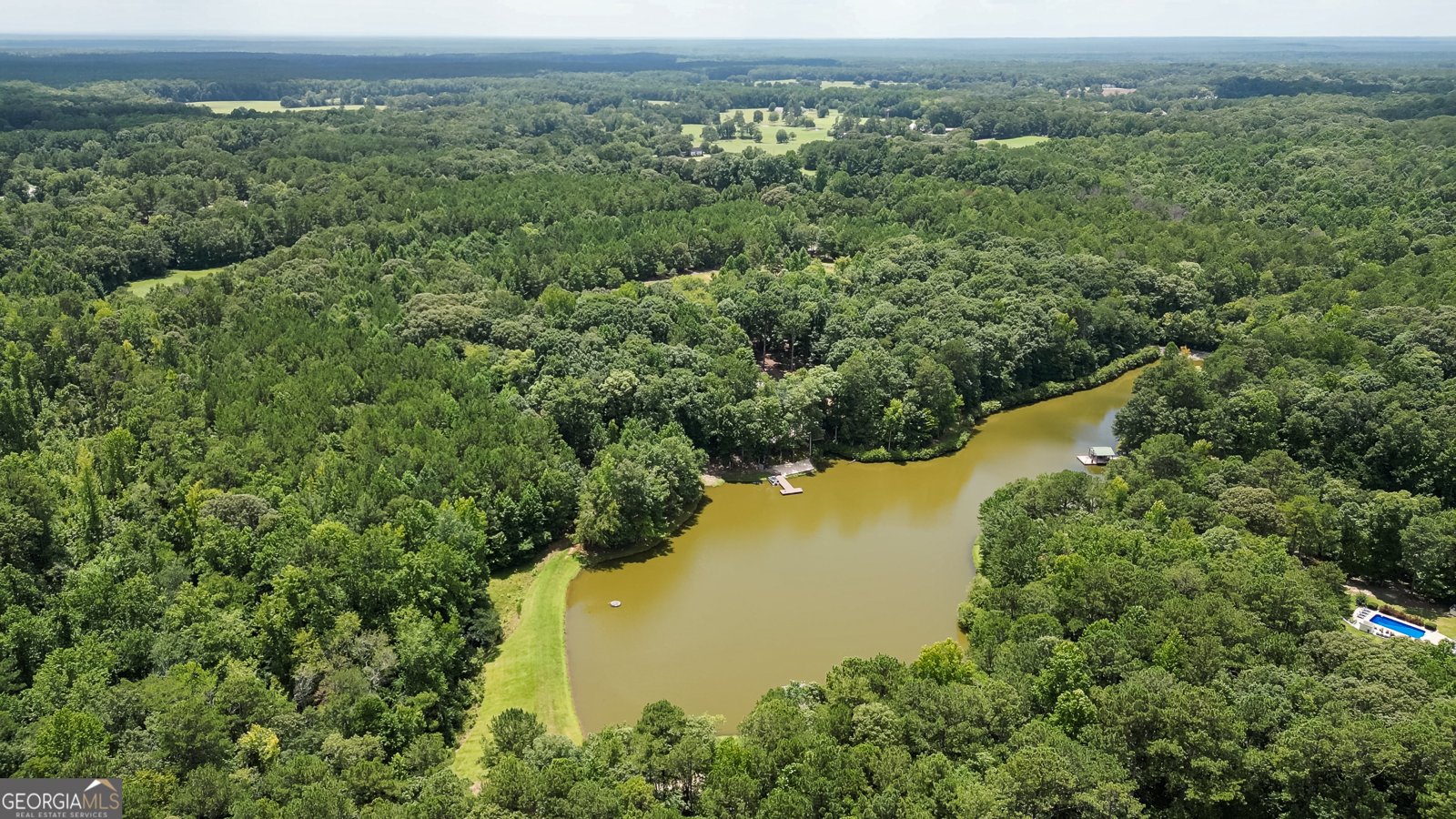 710 Line Creek Road Senoia - Photo 90