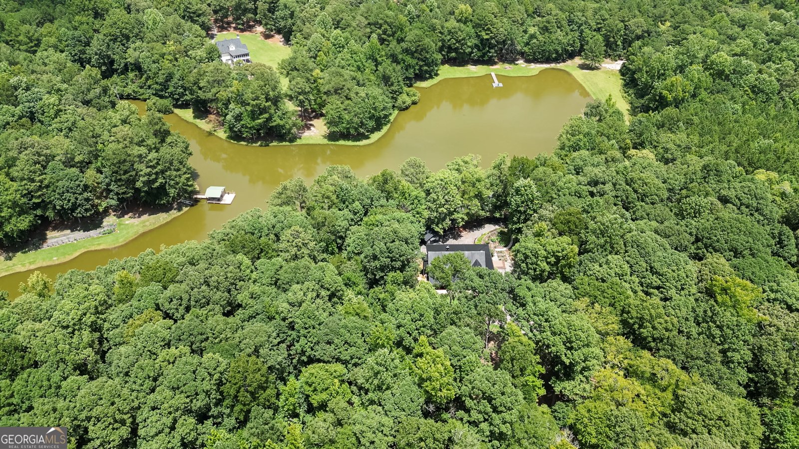710 Line Creek Road Senoia - Photo 91