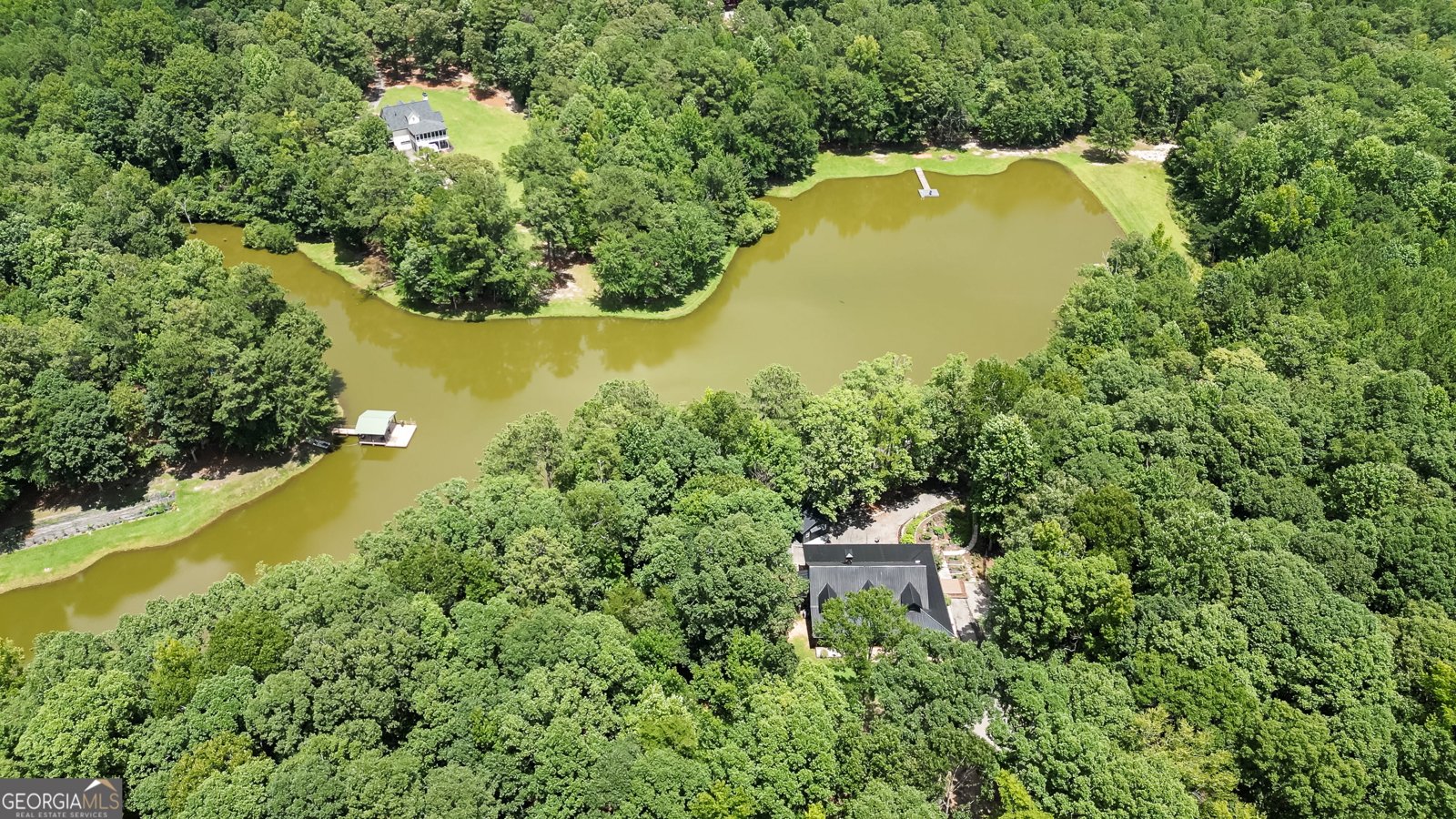 710 Line Creek Road Senoia - Photo 92