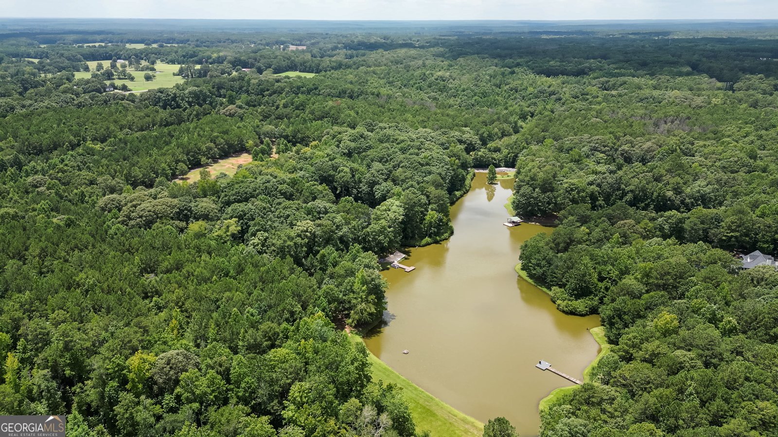 710 Line Creek Road Senoia - Photo 93