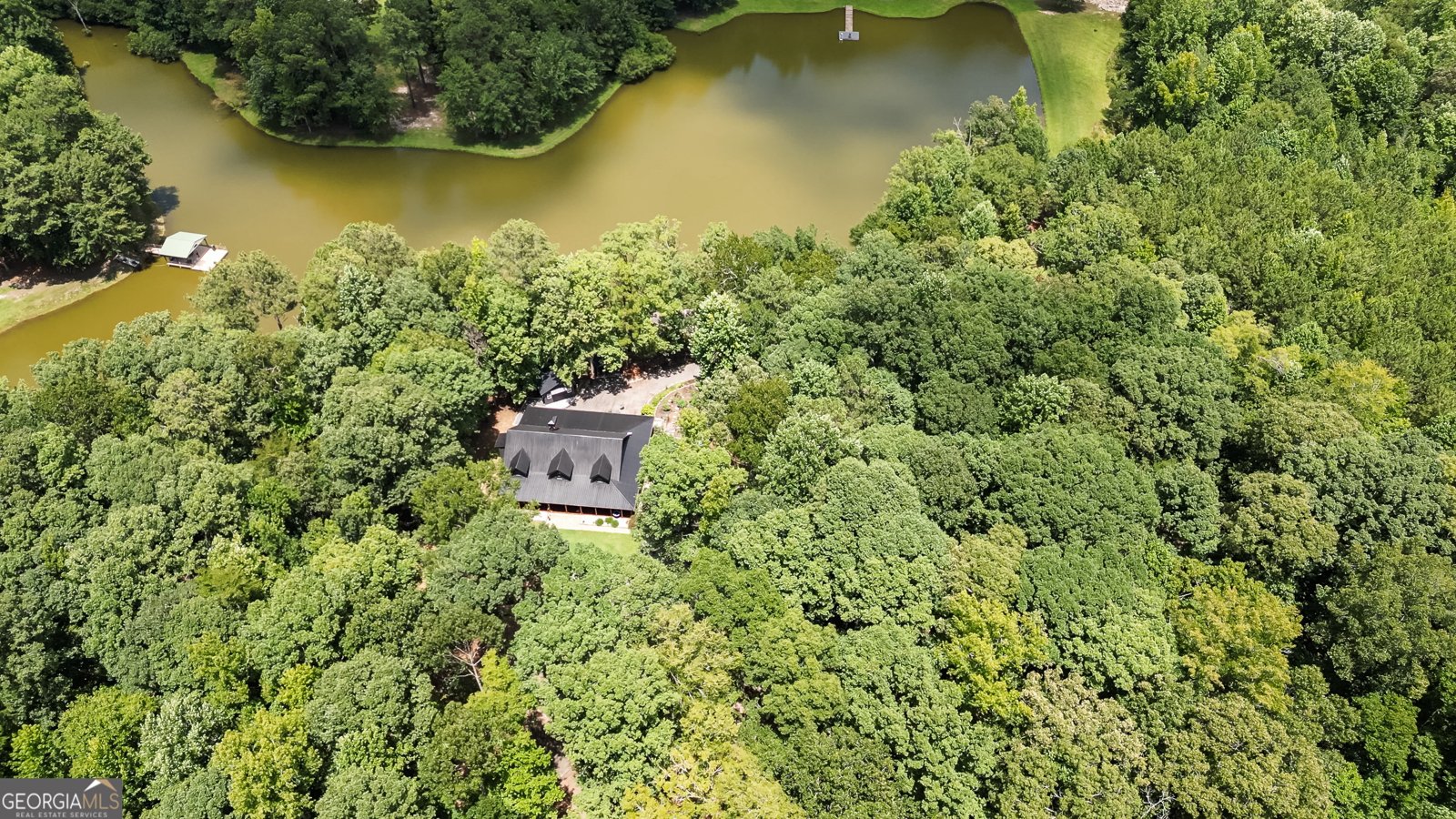 710 Line Creek Road Senoia - Photo 94