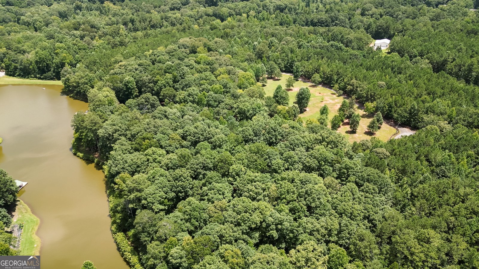 710 Line Creek Road Senoia - Photo 97