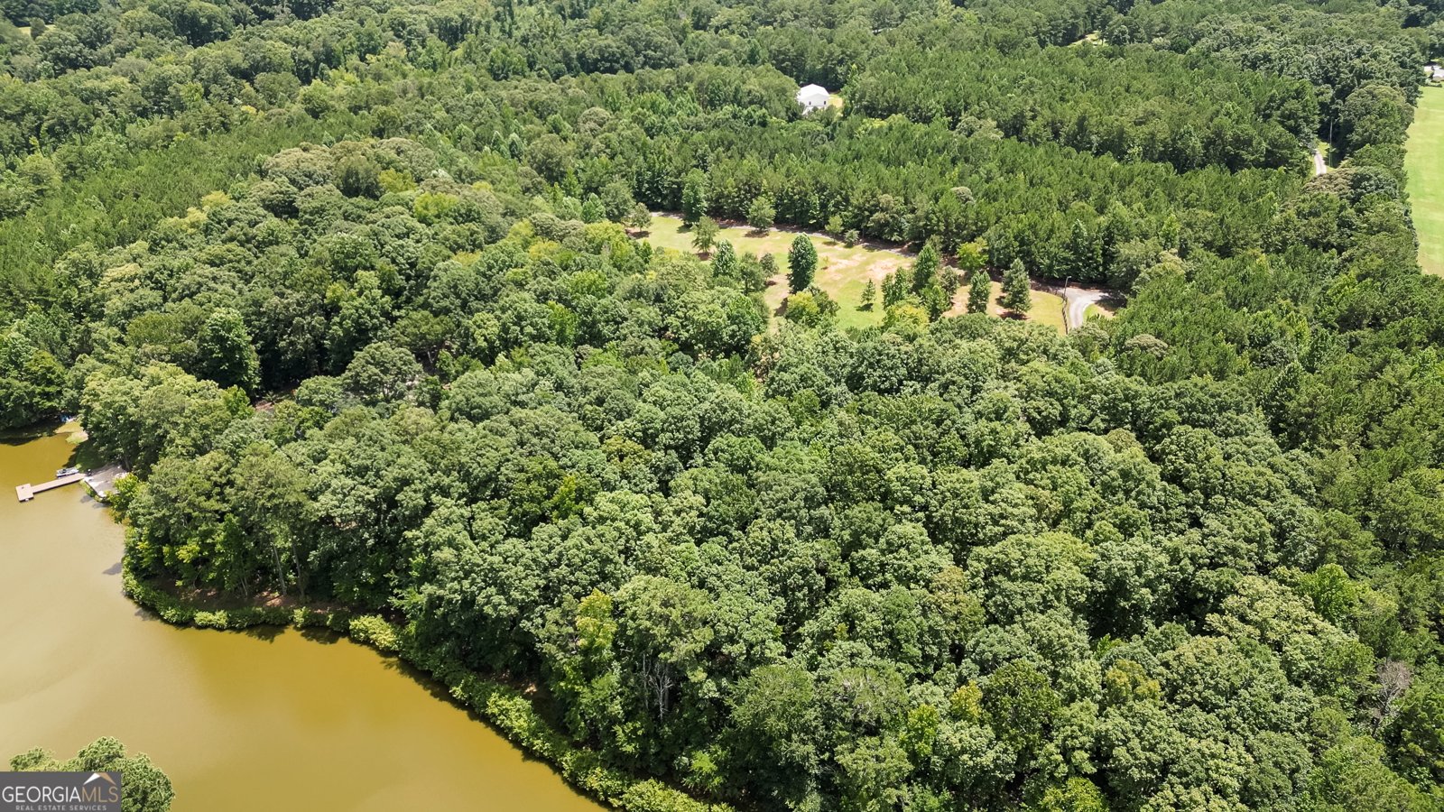 710 Line Creek Road Senoia - Photo 98