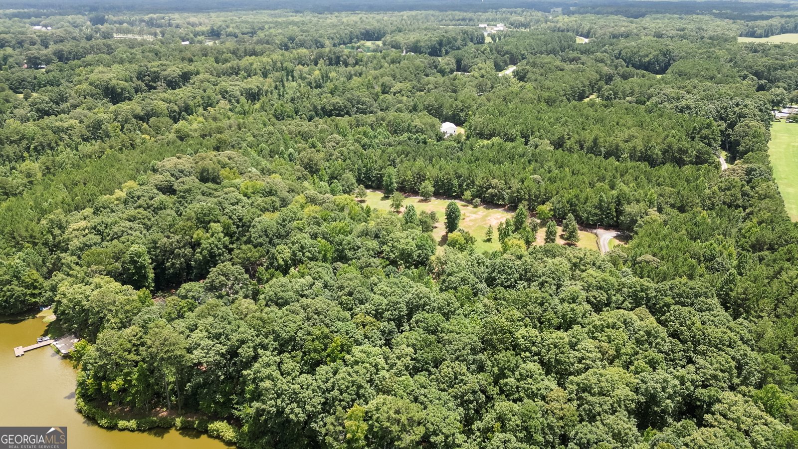 710 Line Creek Road Senoia - Photo 99