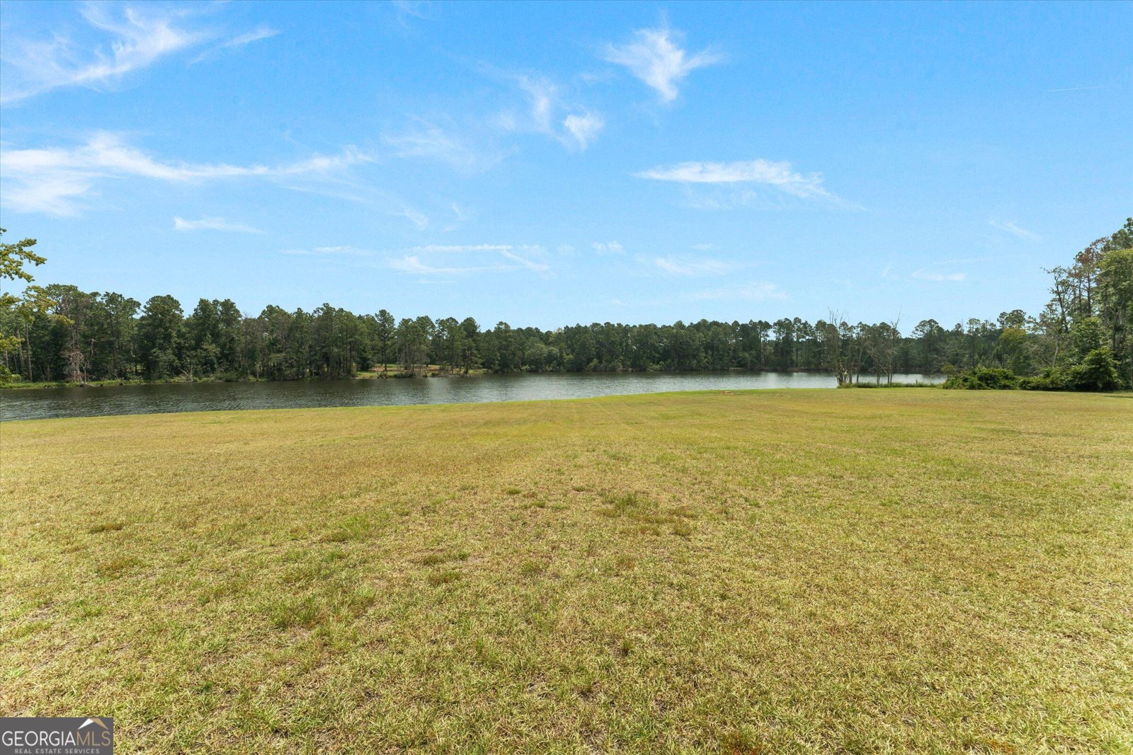 2224 Chainey Briar Rd Metter - Photo 115