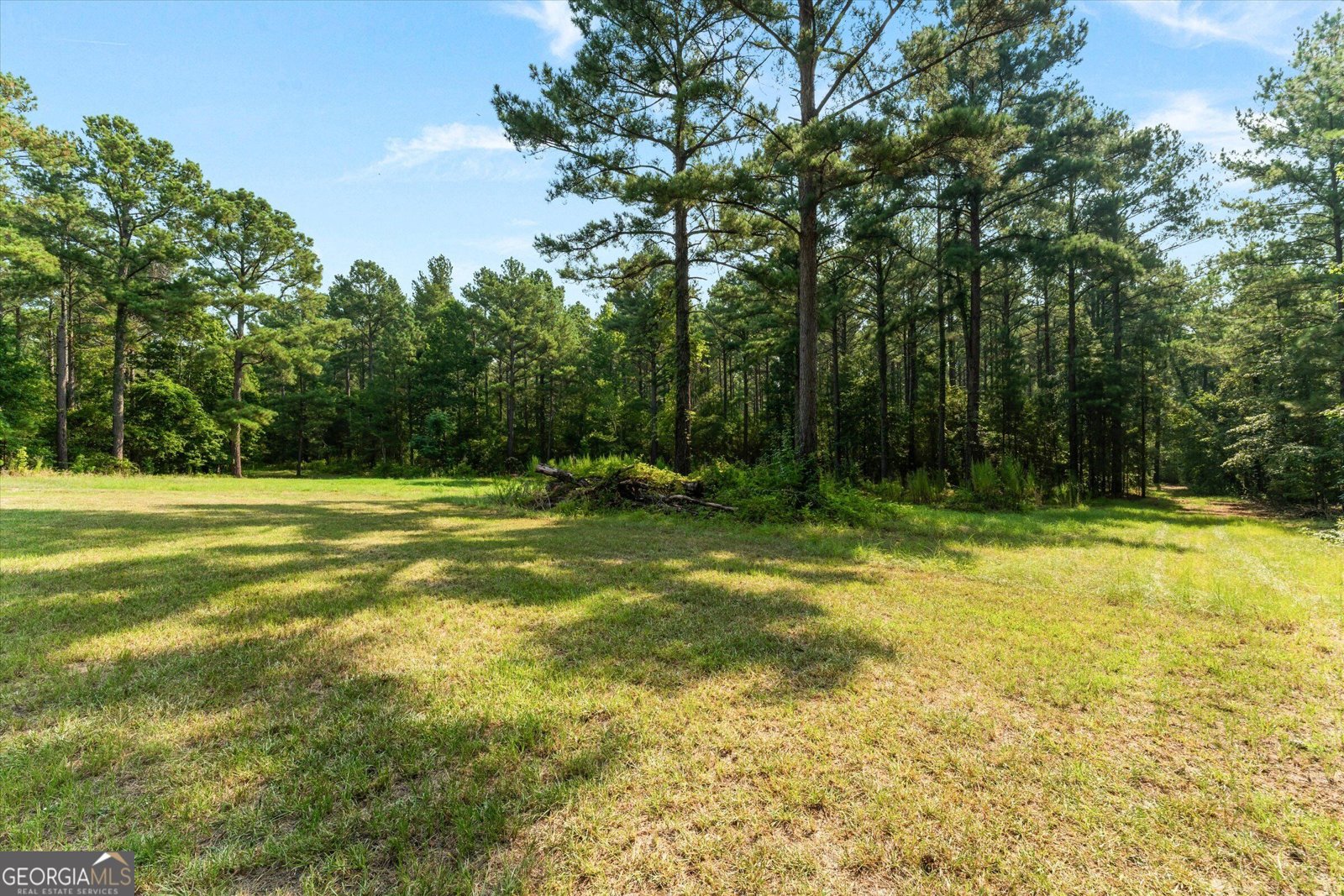 2224 Chainey Briar Rd Metter - Photo 131
