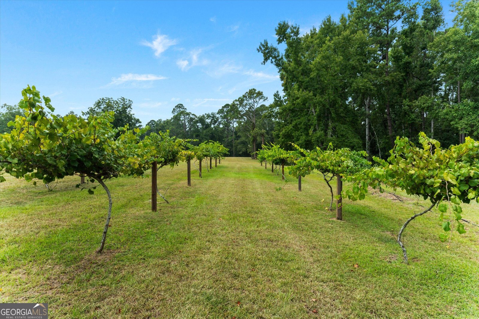 2224 Chainey Briar Rd Metter - Photo 36