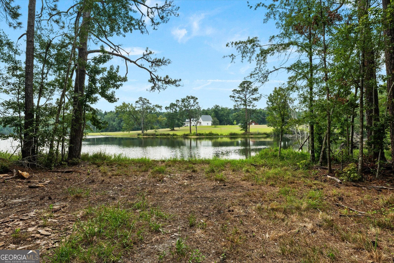 2224 Chainey Briar Rd Metter - Photo 38