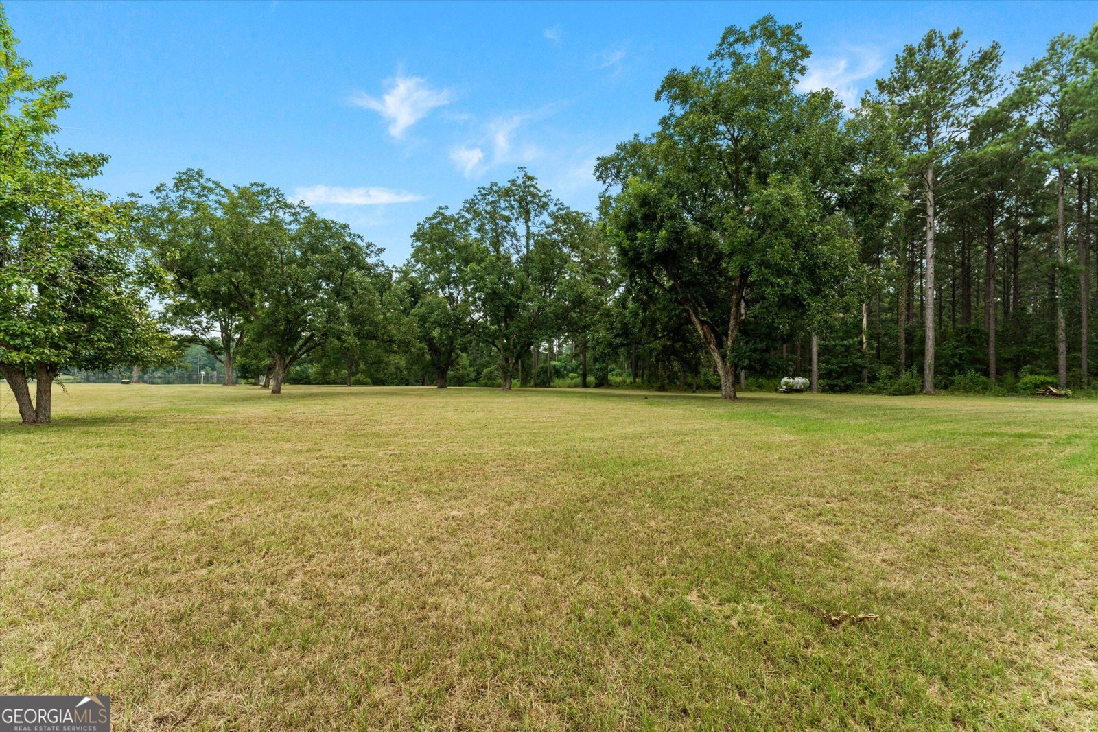 2224 Chainey Briar Rd Metter - Photo 44