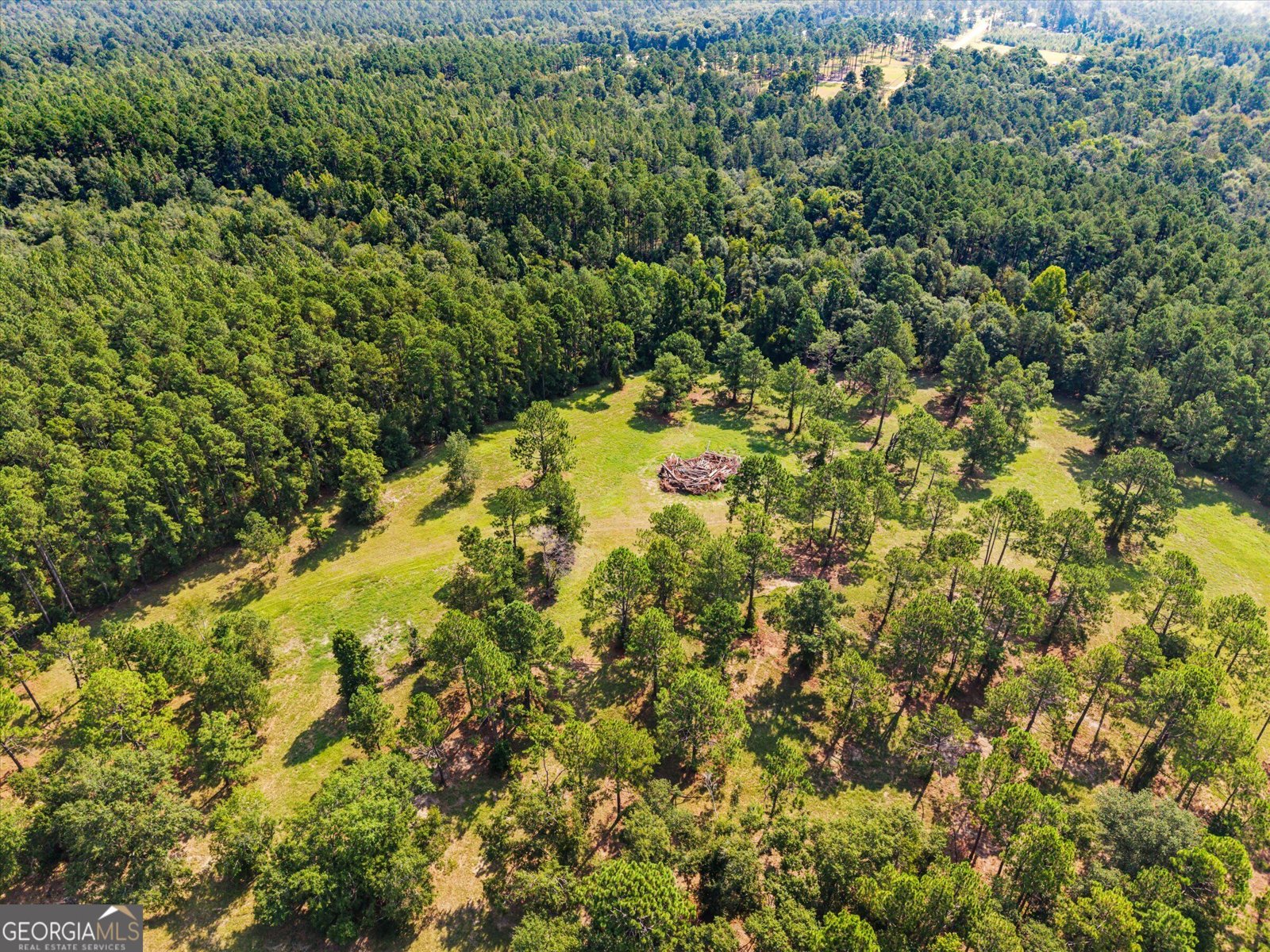 2224 Chainey Briar Rd Metter - Photo 46