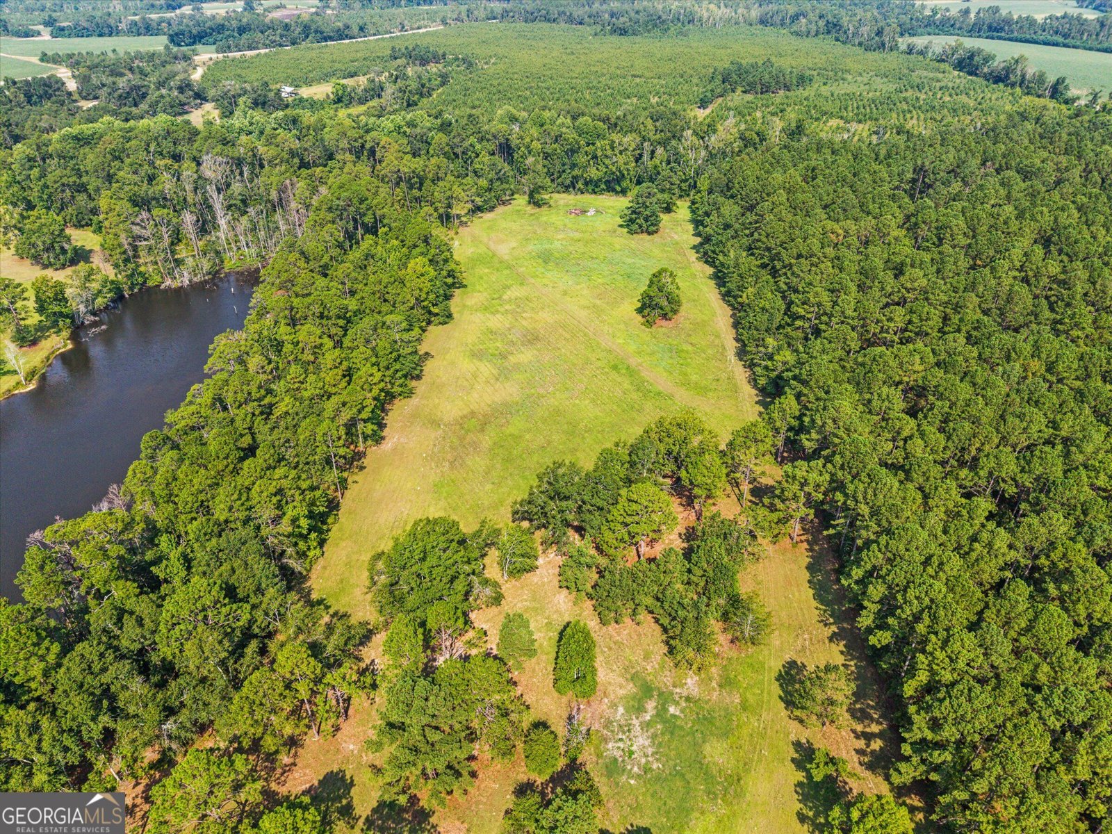 2224 Chainey Briar Rd Metter - Photo 49