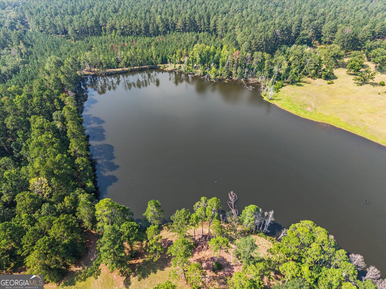 2224 Chainey Briar Rd Metter - Photo 50