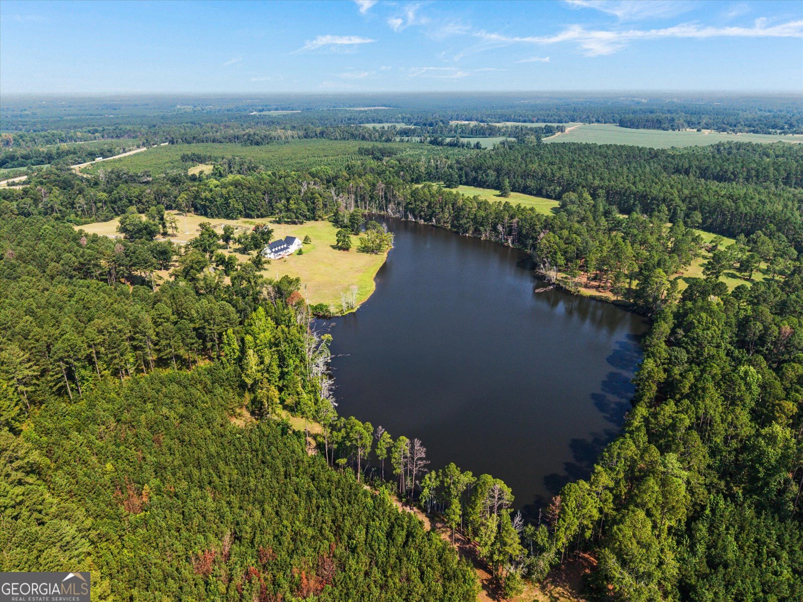 2224 Chainey Briar Rd Metter - Photo 52