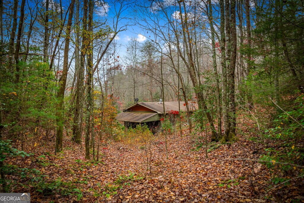 208 Bullen Gap Road Blue Ridge - Photo 47