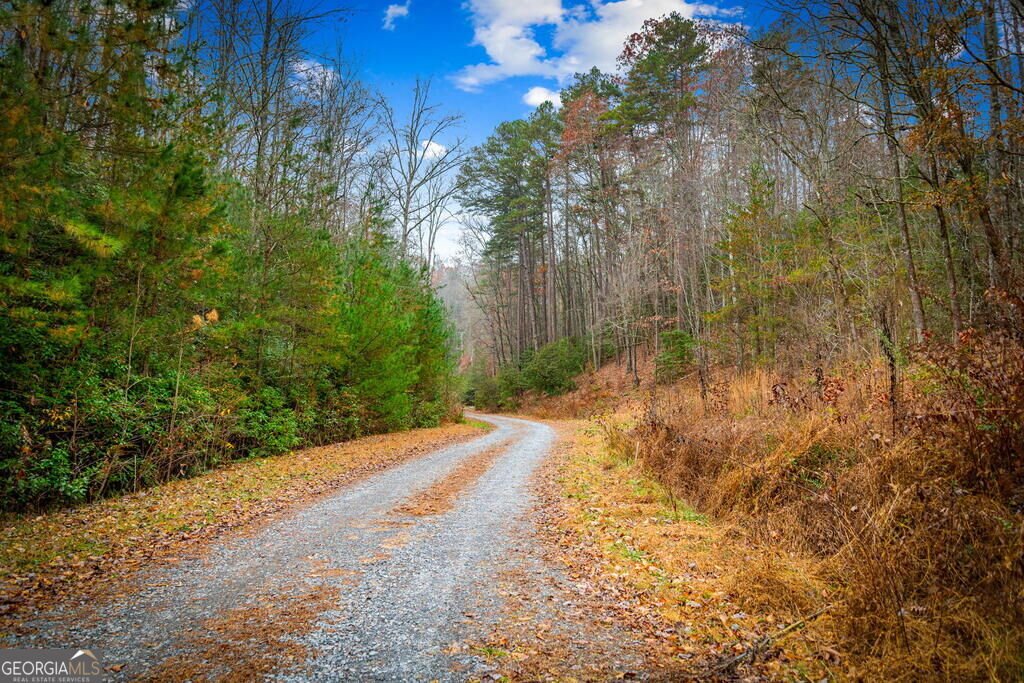 208 Bullen Gap Road Blue Ridge - Photo 51
