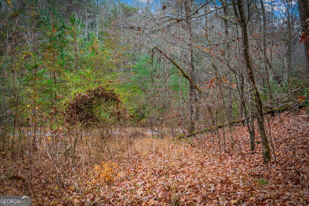 208 Bullen Gap Road Blue Ridge - Photo 59
