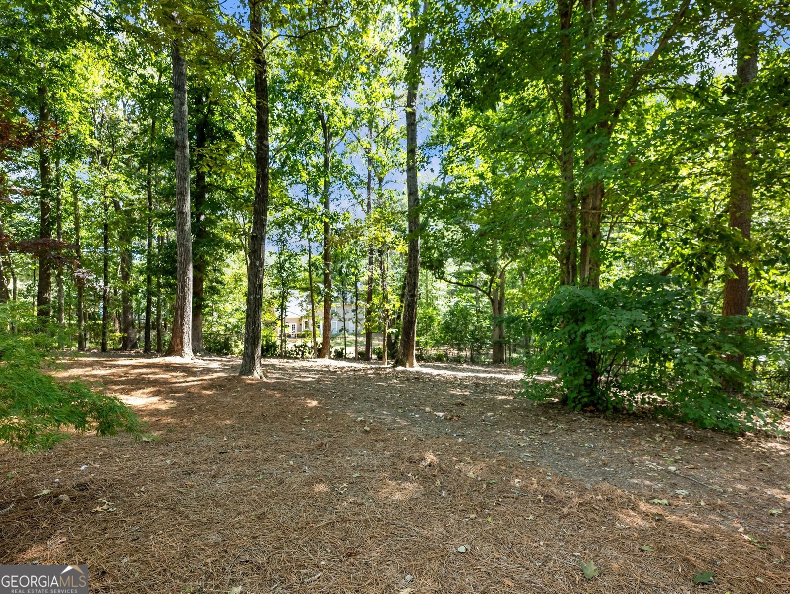 3965 Hamilton View Way Dacula - Photo 76