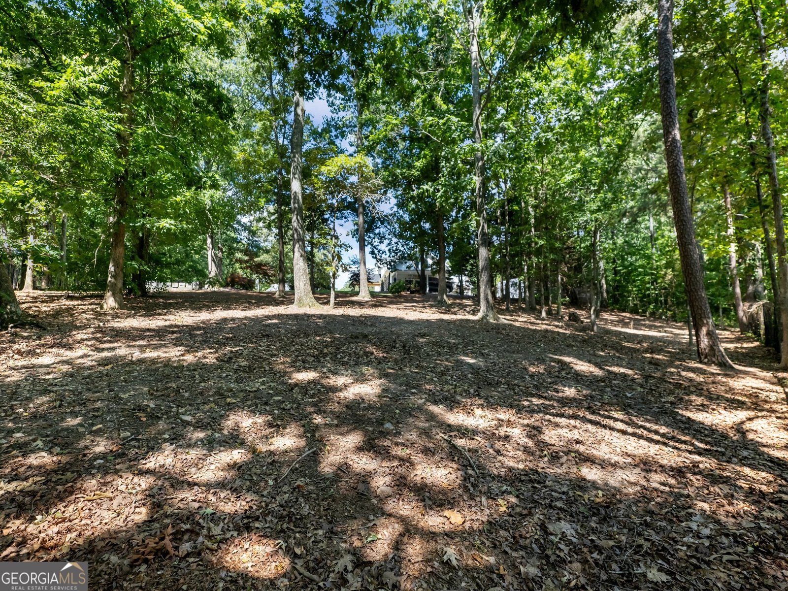 3965 Hamilton View Way Dacula - Photo 77