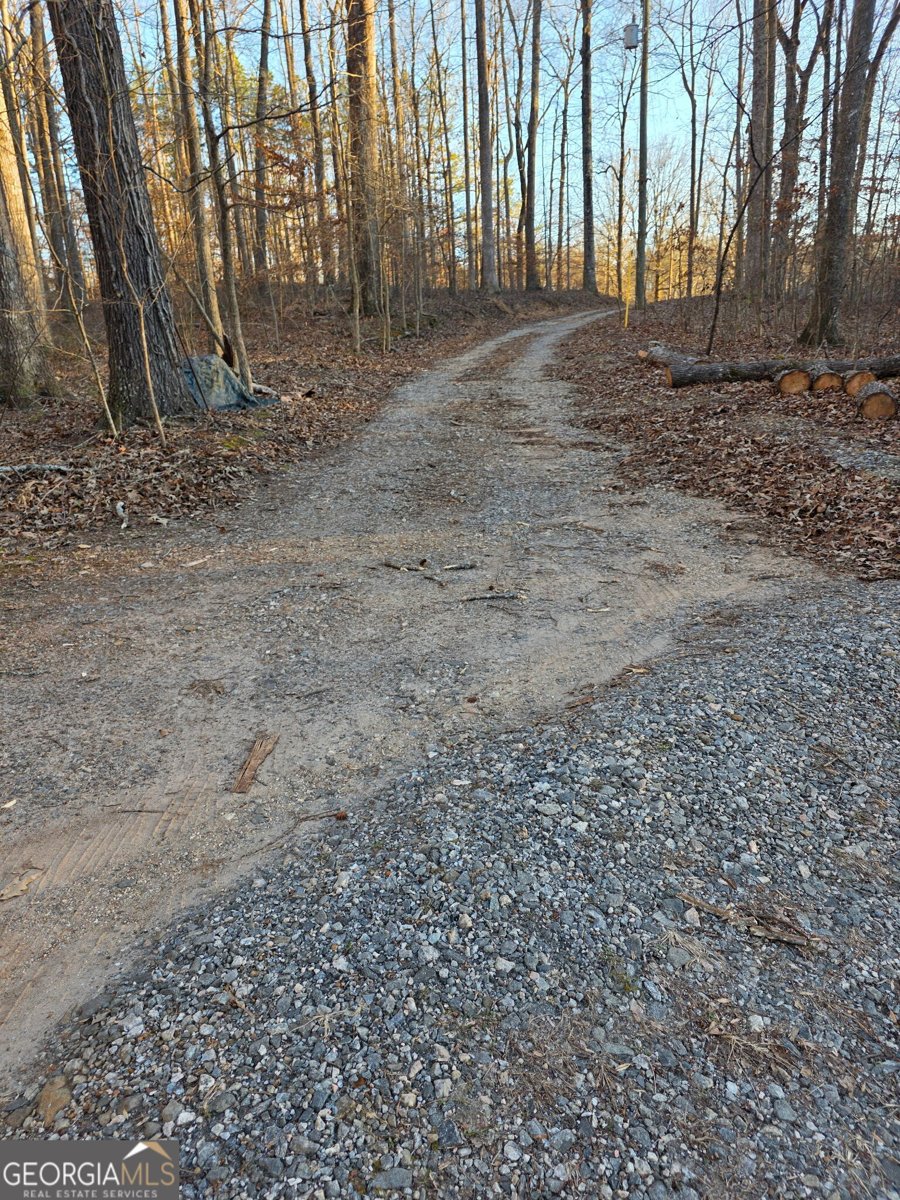 403 Stringer Road Canton - Photo 29