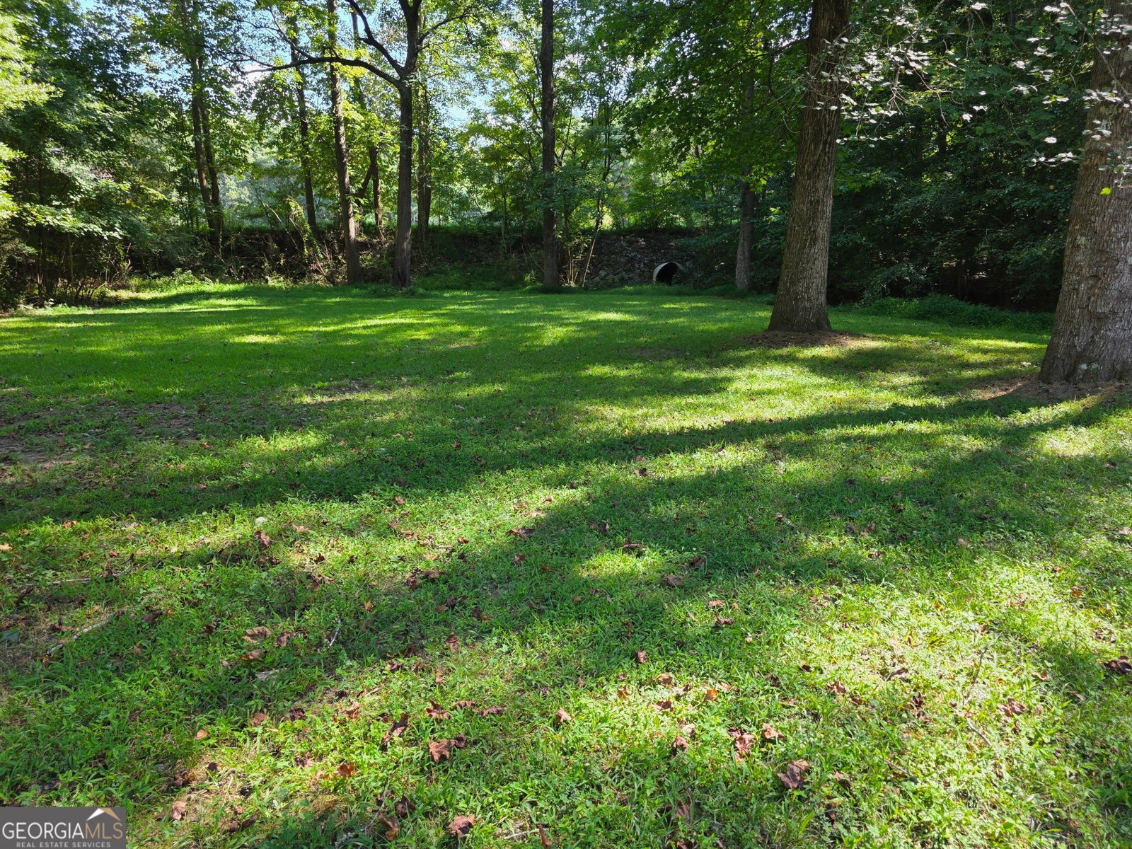 403 Stringer Road Canton - Photo 31