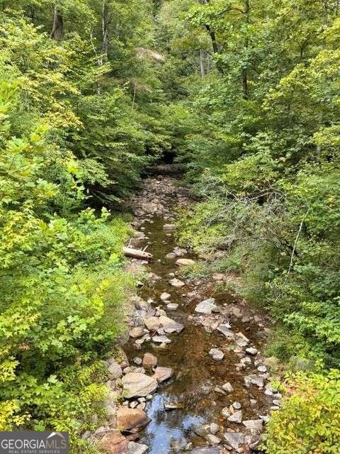 982 Raccoon Ridge Ranger - Photo 11