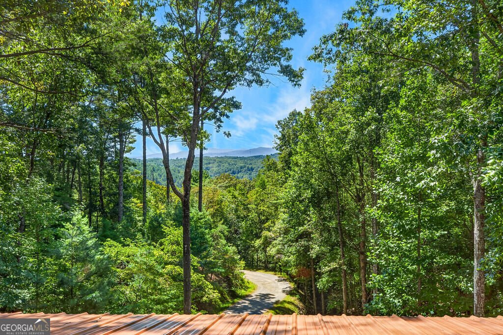 161 Walkabout Creek Road Morganton - Photo 11
