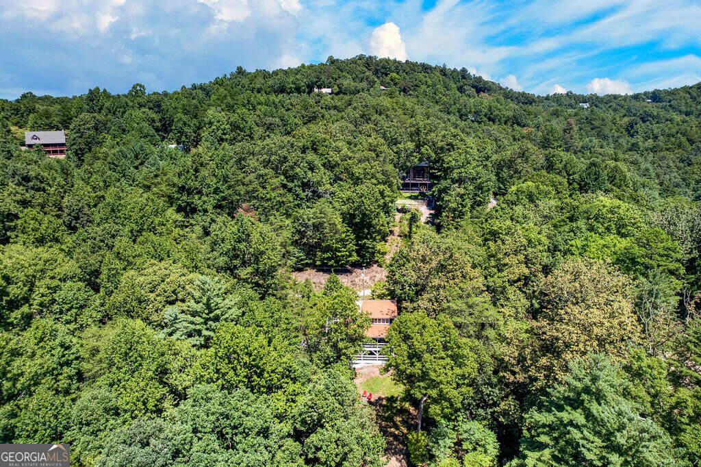 161 Walkabout Creek Road Morganton - Photo 38