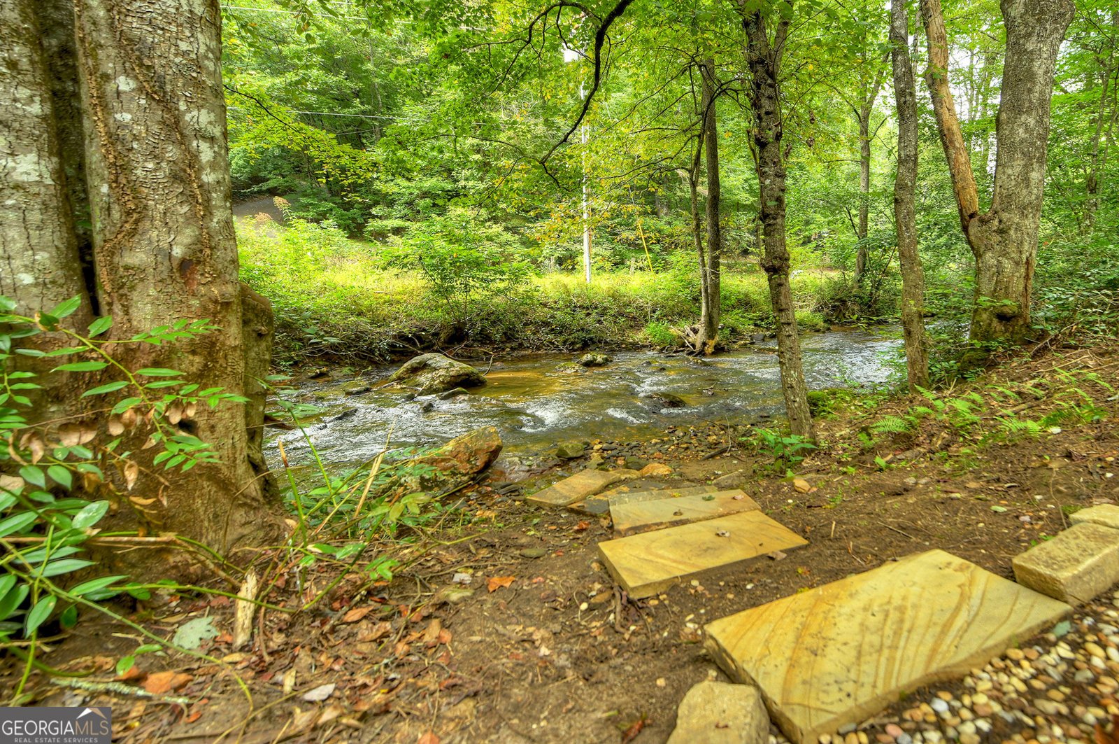 1821 Stanley Creek Road Cherry Log - Photo 61