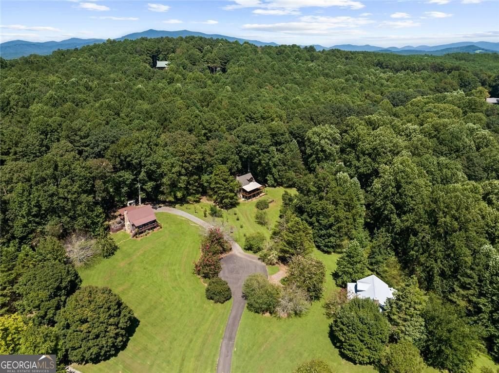 104 Blue Mountain Lane Ellijay - Photo 73