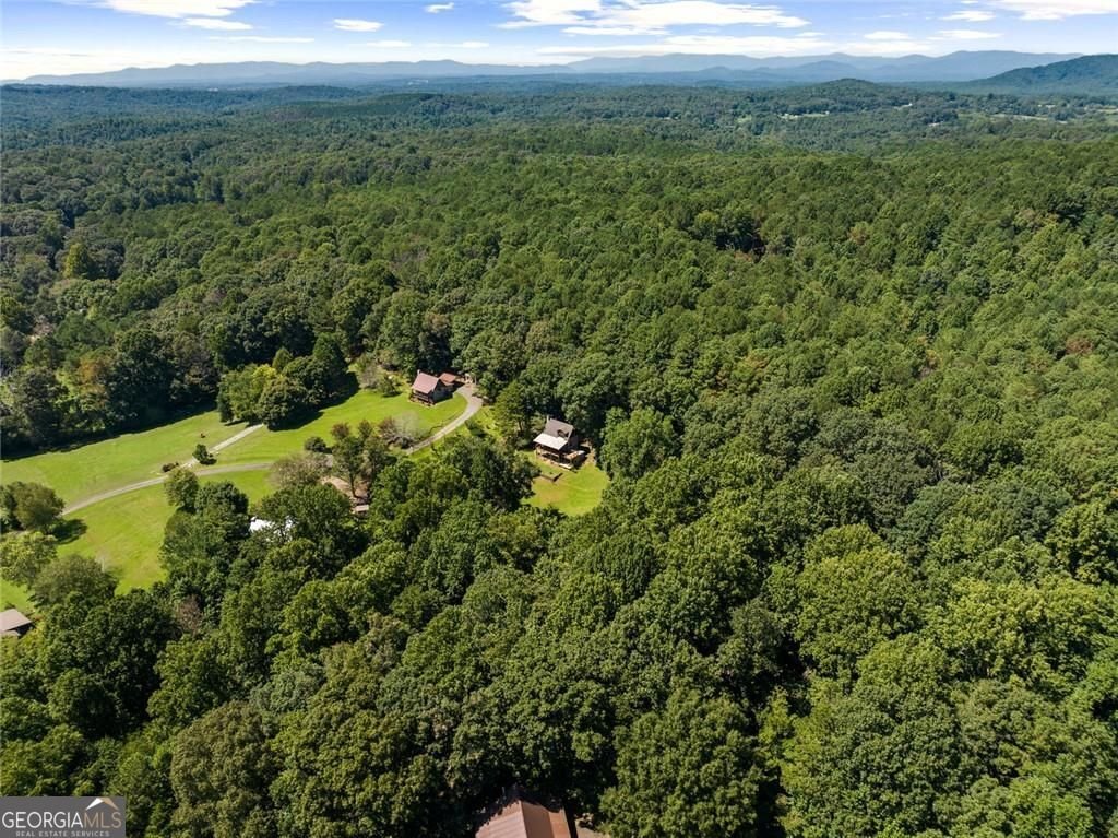 104 Blue Mountain Lane Ellijay - Photo 81