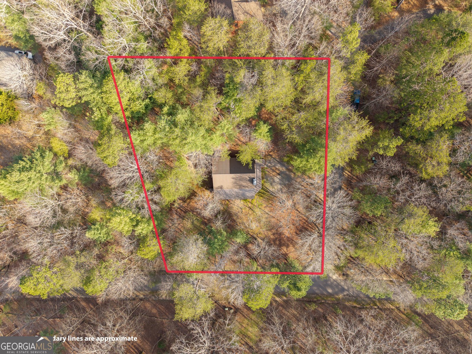 19 Blackberry Falls Lane Ellijay - Photo 24