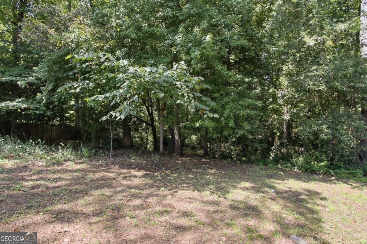 1922 Kevin Drive Conyers - Photo 39