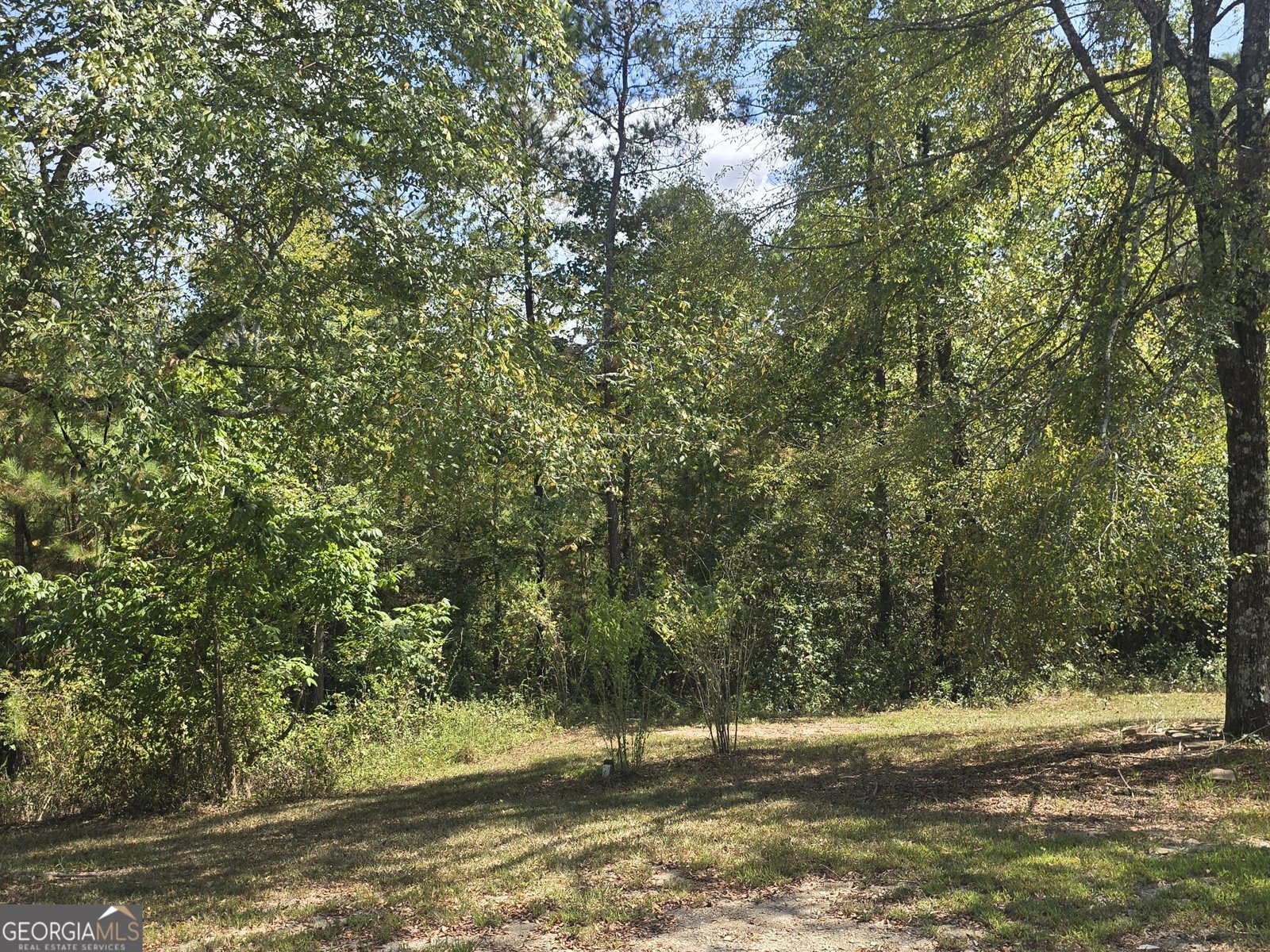 119 Bagley Road Forsyth - Photo 22