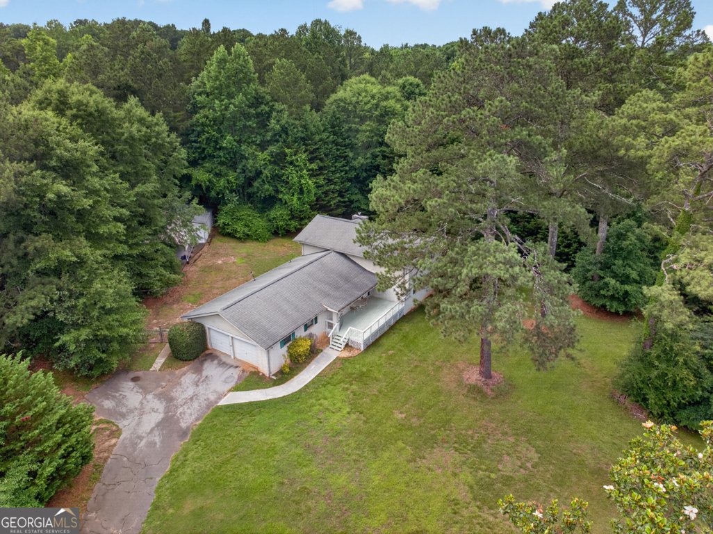 1981 Lee Peters Road Loganville - Photo 51