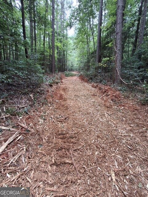 3729 Duncan Bridge Road Cornelia - Photo 64