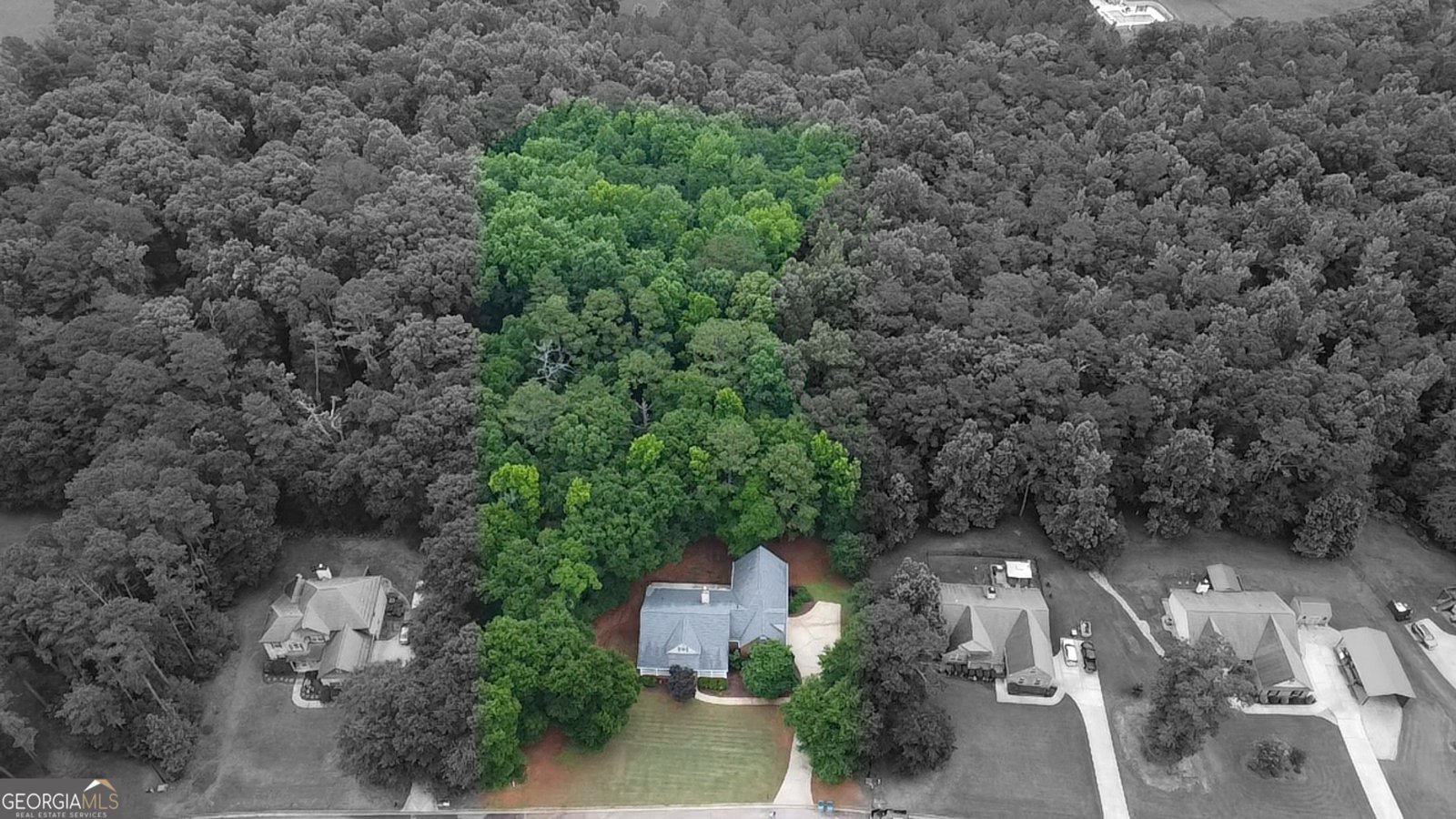 337 McKibben Drive Locust Grove - Photo 51