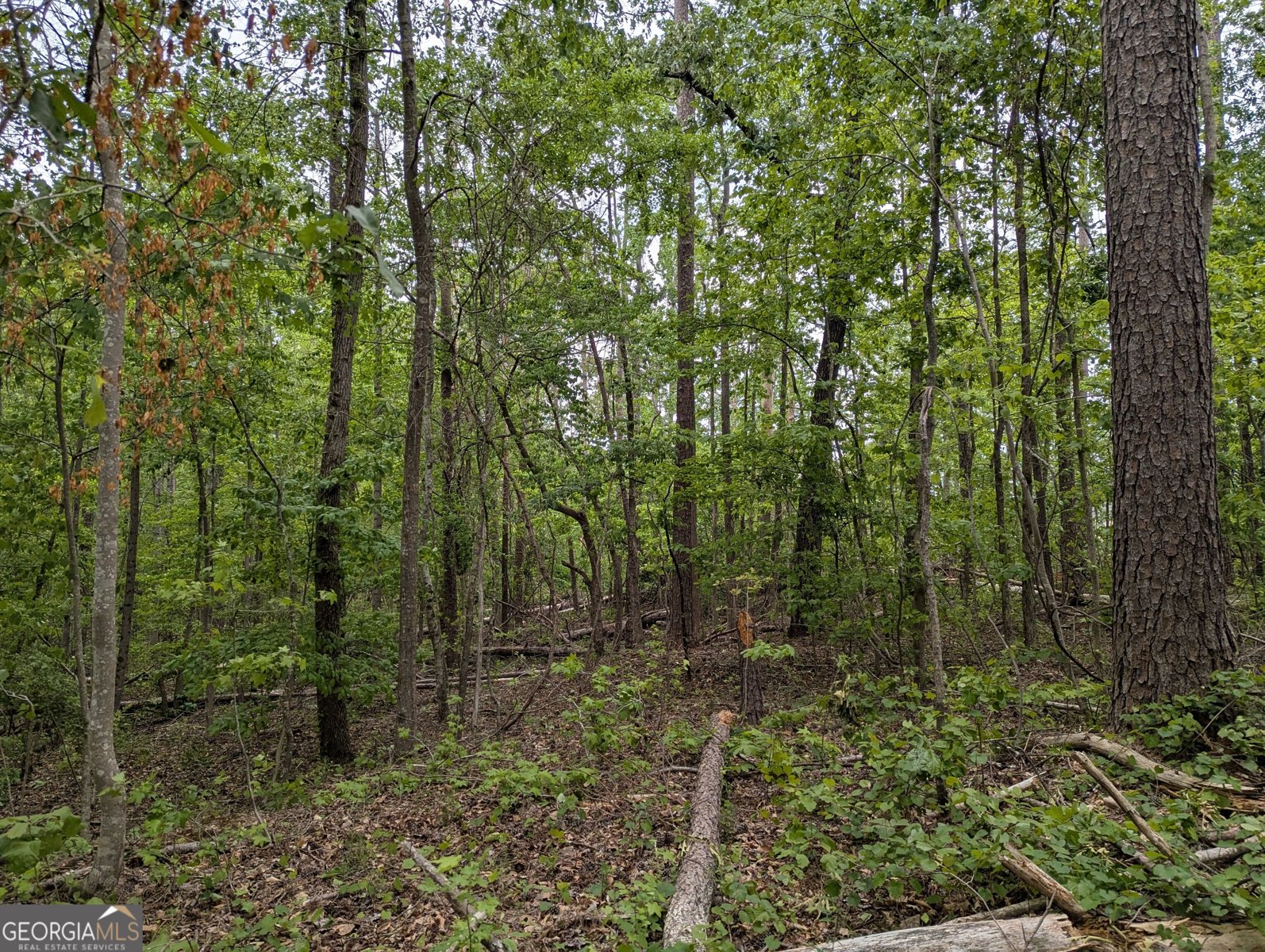5480 Bethlehem Road Fairburn - Photo 12