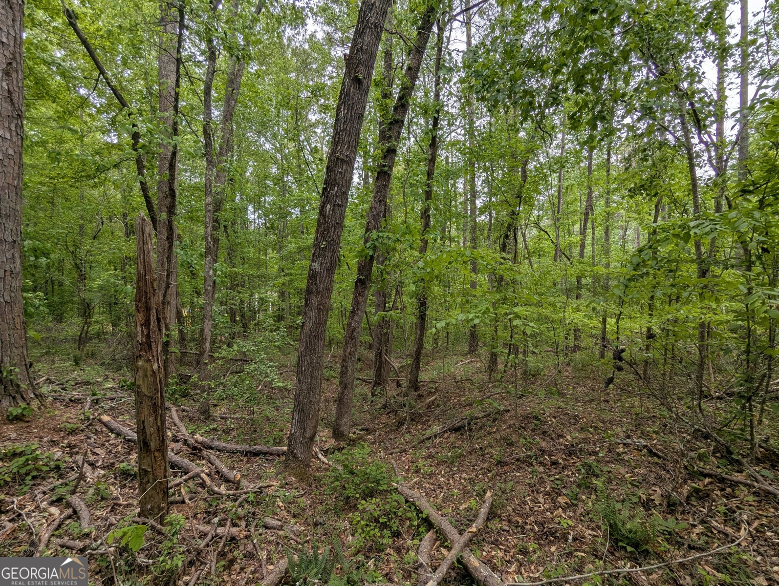 5480 Bethlehem Road Fairburn - Photo 13