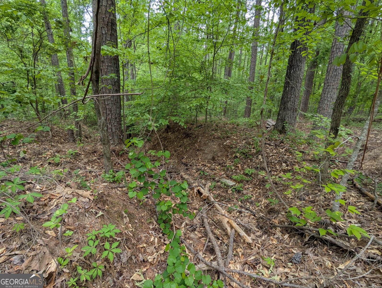 5480 Bethlehem Road Fairburn - Photo 14
