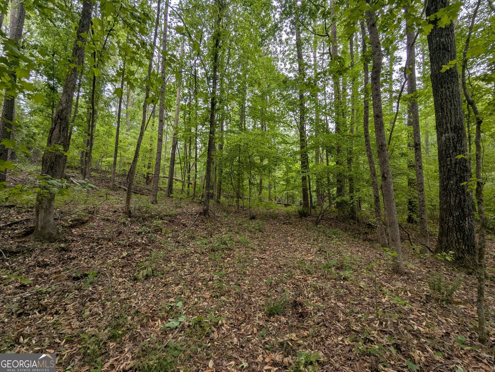 5480 Bethlehem Road Fairburn - Photo 15