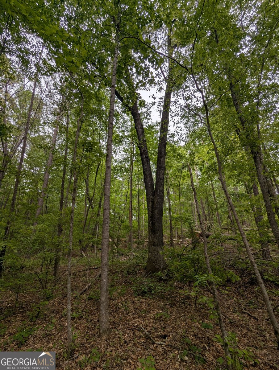 5480 Bethlehem Road Fairburn - Photo 17