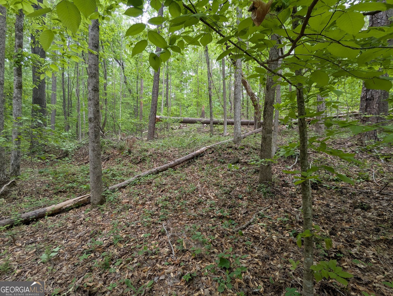5480 Bethlehem Road Fairburn - Photo 18