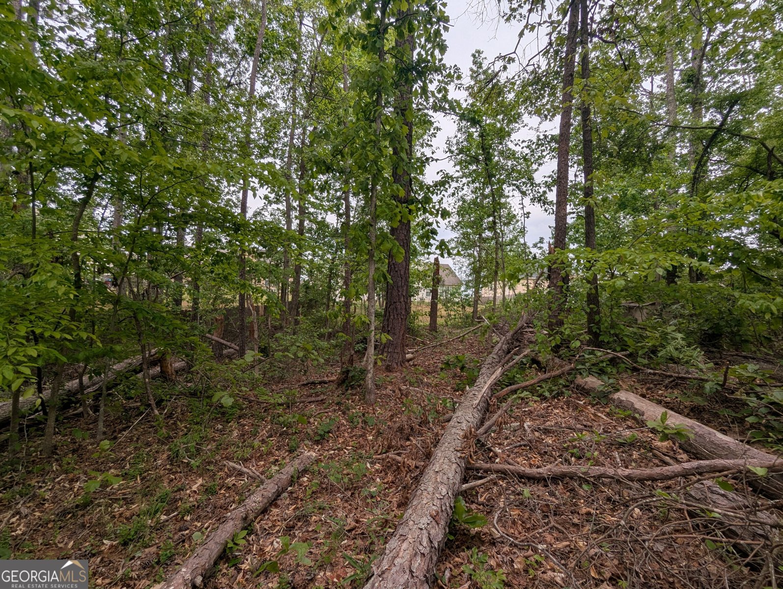 5480 Bethlehem Road Fairburn - Photo 19