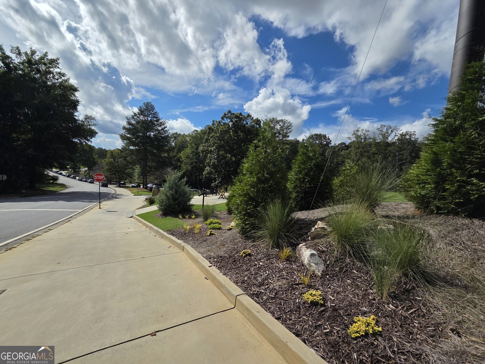 8765 Mount Rushmore Drive Johns Creek - Photo 109