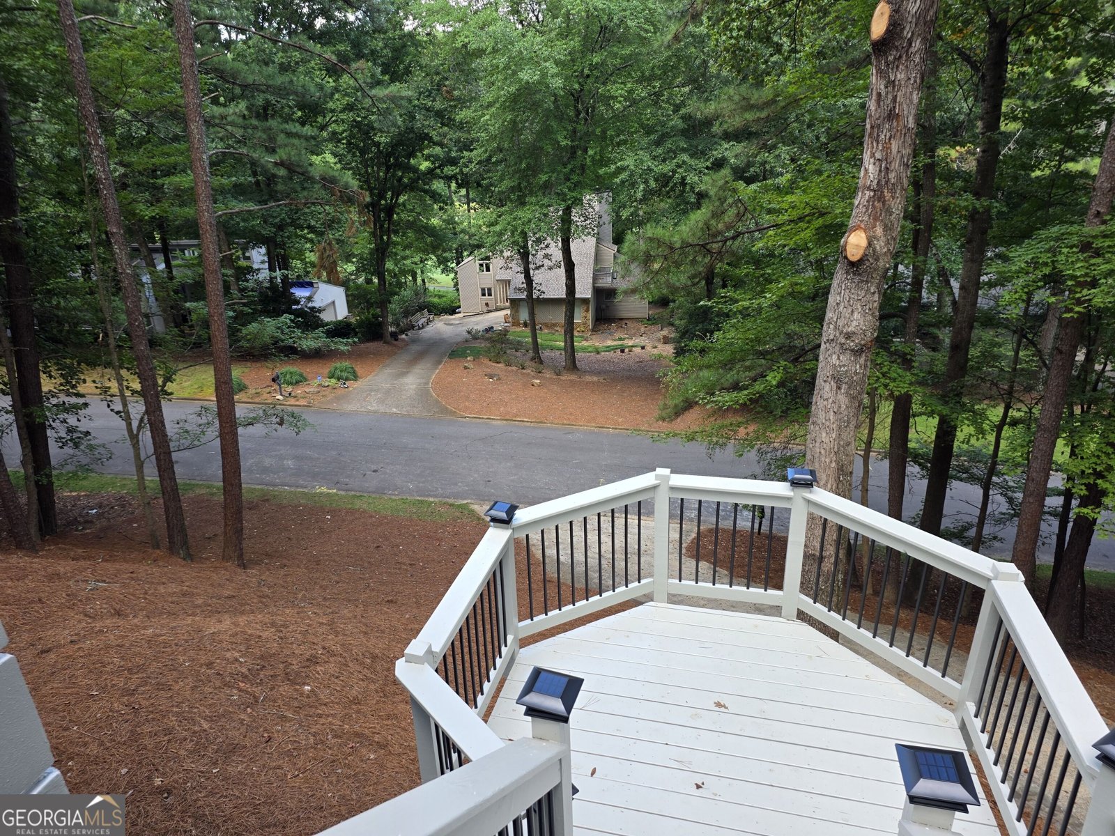 8765 Mount Rushmore Drive Johns Creek - Photo 15