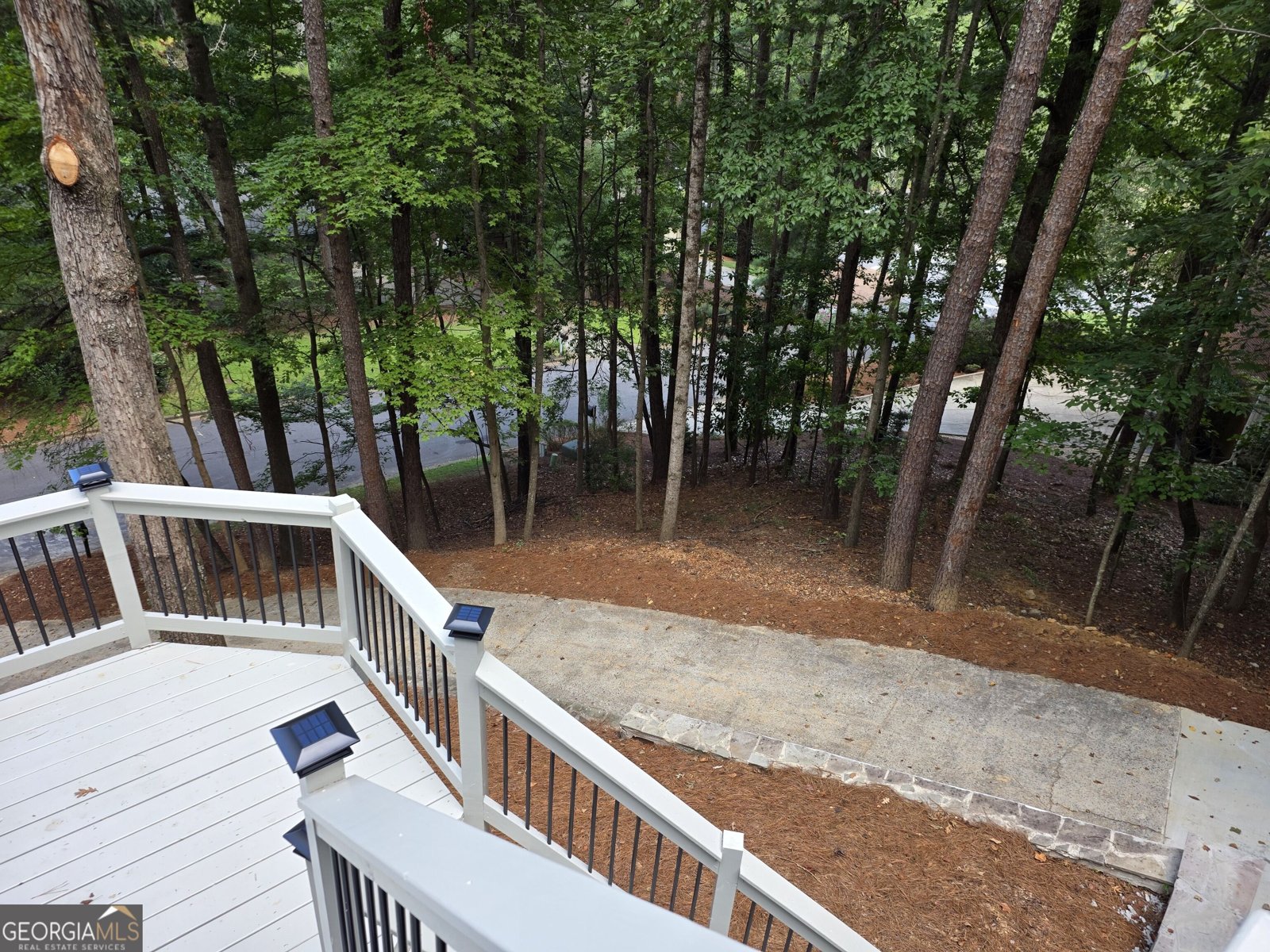 8765 Mount Rushmore Drive Johns Creek - Photo 16