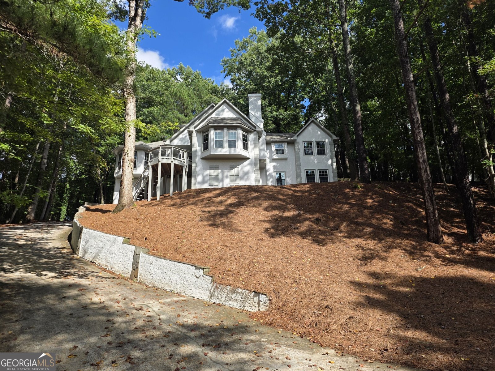 8765 Mount Rushmore Drive Johns Creek - Photo 95